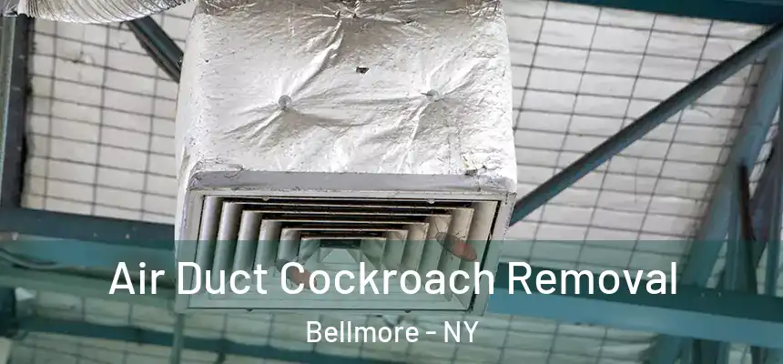  Air Duct Cockroach Removal Bellmore - NY