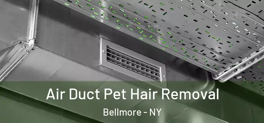  Air Duct Pet Hair Removal Bellmore - NY