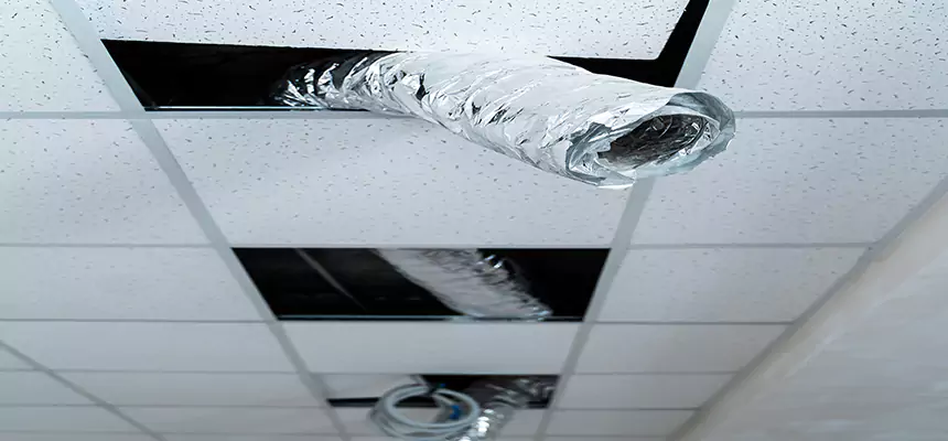 Affordable HVAC Sanitizing After Pest Removal in Bellmore