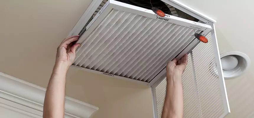 Our Insect Removal from Air Ducts Services in Bellmore, NY