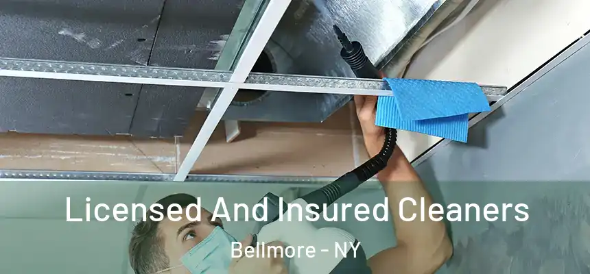  Licensed And Insured Cleaners Bellmore - NY