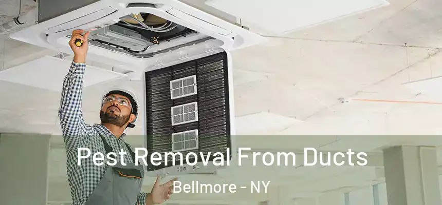  Pest Removal From Ducts Bellmore - NY