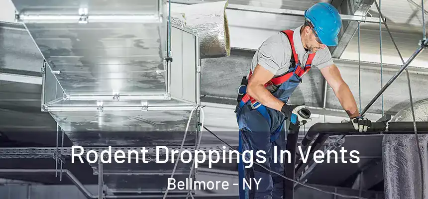  Rodent Droppings In Vents Bellmore - NY