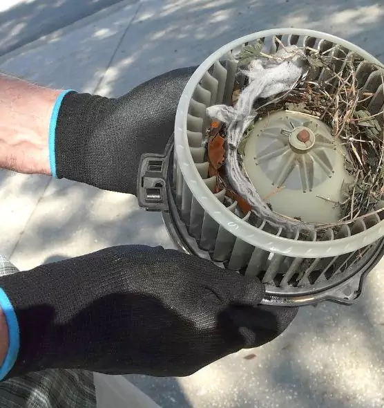 About Air Duct Mice Removal in Bellmore, NY