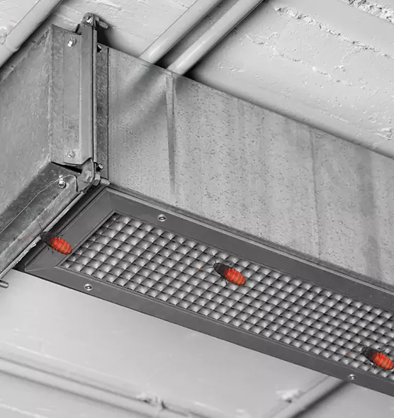 Affordable Insect Removal from Air Ducts in Bellmore, NY