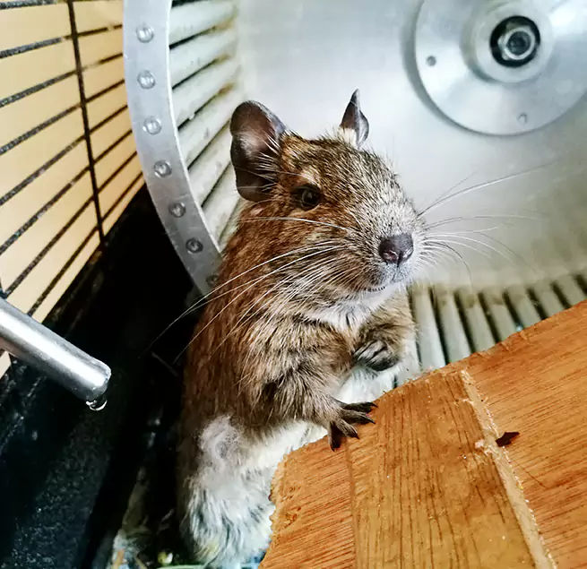 Why Homeowners & Businesses Trust Us Bellmore, NY?