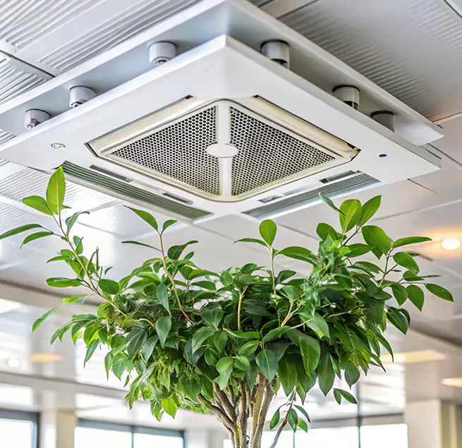 Why Homeowners & Businesses Trust Us in Bellmore, NY